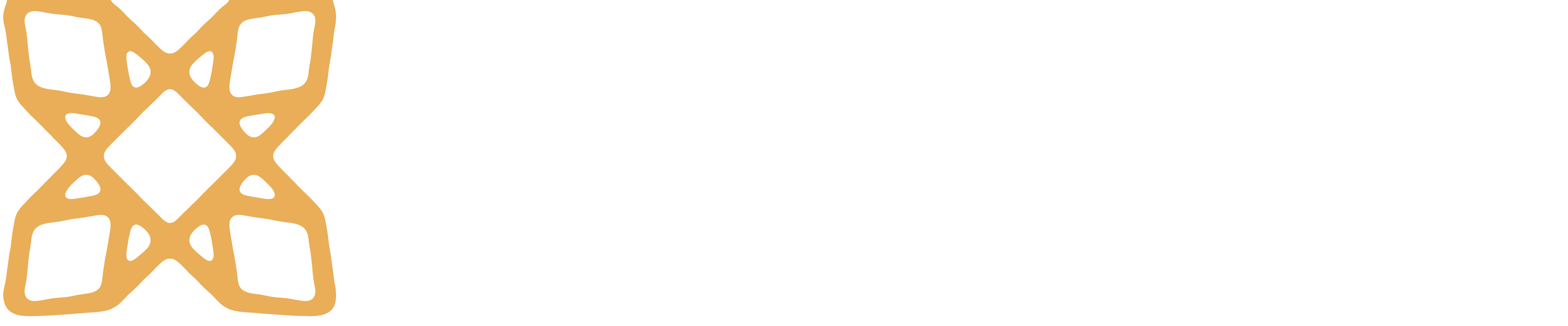 Karian City